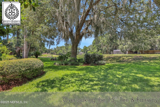 1521 Nottingham Knoll Dr, Jacksonville, FL 32225 - view of green lawn