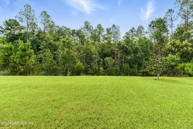 180 Loosestrife Way, Saint Augustine, FL 32095 - photo 31