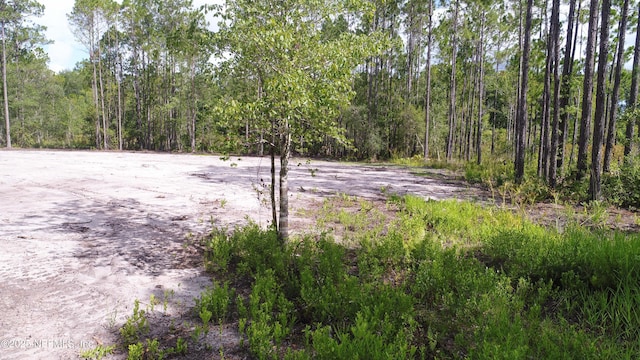 0 Canal St, Jacksonville, FL 32234 - photo 7