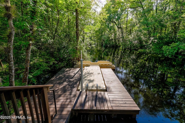94 Amalurra Trl, Saint Johns, FL 32259 - photo 76