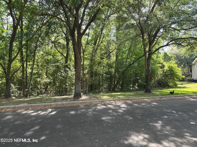 8550 Argyle Business Loop Unit 1308, Jacksonville, FL 32244 - photo 3