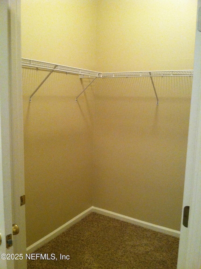 9556 Armelle Way Unit 2, Jacksonville, FL 32257 - spacious closet featuring carpet floors