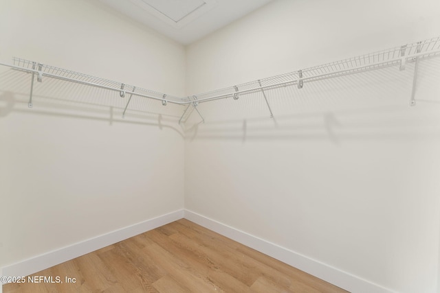 981 Butler Ave, Saint Augustine, FL 32084 - spacious closet with light wood-style flooring