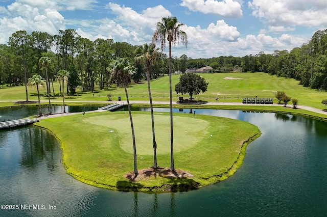 2563 Ferntree Ln, Fleming Island, FL 32003 - photo 76