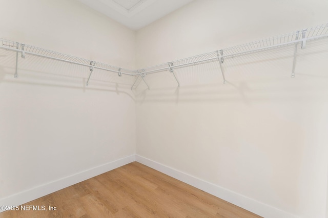 989 Butler Ave, Saint Augustine, FL 32084 - spacious closet featuring light wood-type flooring