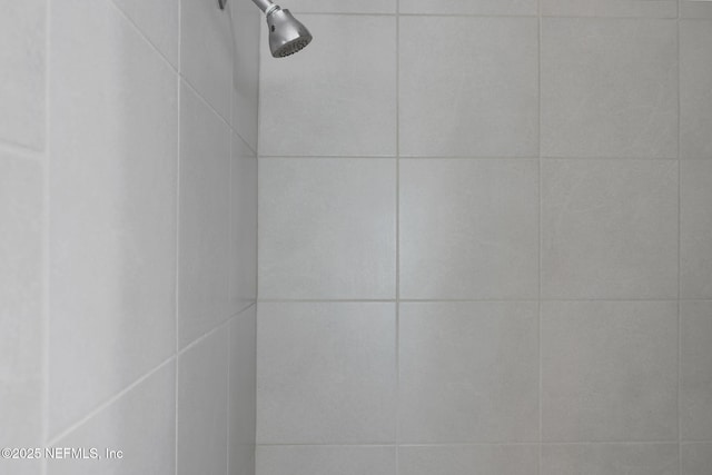 724 N Pine Ave, Green Cove Springs, FL 32043 - bathroom view of a tile shower