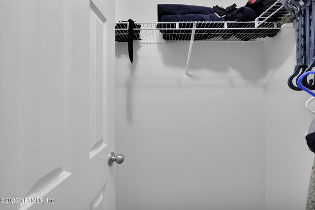 724 N Pine Ave, Green Cove Springs, FL 32043 - view of spacious closet