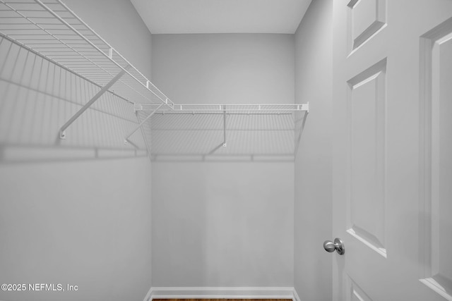 724 N Pine Ave, Green Cove Springs, FL 32043 - view of walk in closet