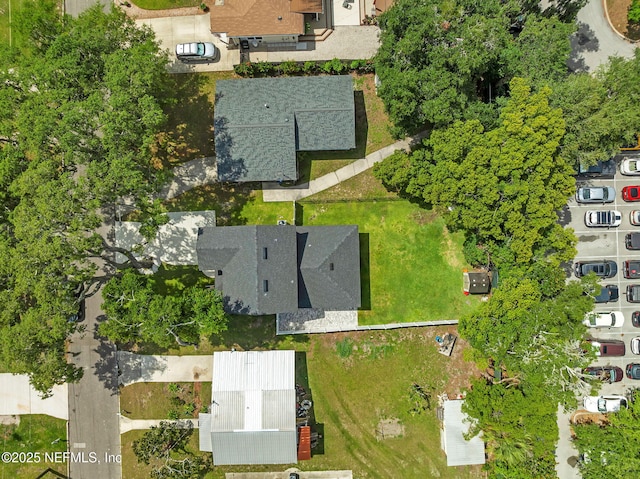 724 N Pine Ave, Green Cove Springs, FL 32043 - bird's eye view