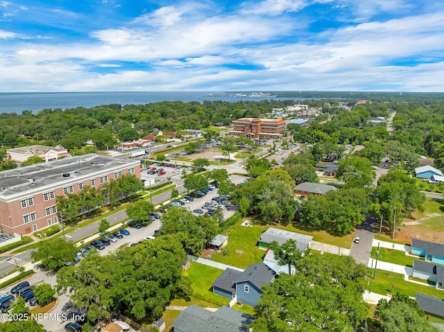 724 N Pine Ave, Green Cove Springs, FL 32043 - drone / aerial view of a large body of water and a tree filled landscape