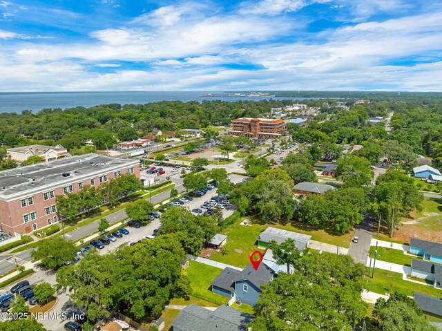 724 N Pine Ave, Green Cove Springs, FL 32043 - aerial view of a large body of water and a tree filled landscape