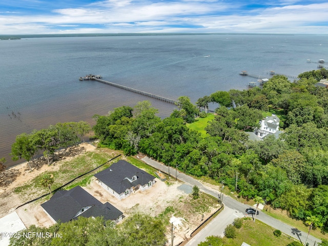 724 N Pine Ave, Green Cove Springs, FL 32043 - bird's eye view of a large body of water