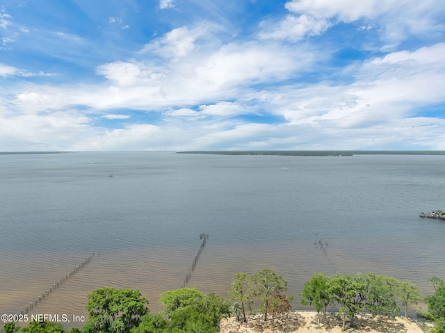724 N Pine Ave, Green Cove Springs, FL 32043 - water view