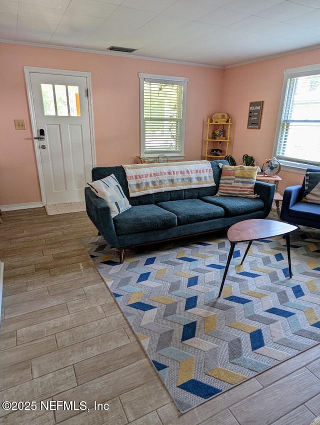 217 Covino Ave, Saint Augustine, FL 32084 - living area with crown molding and wood finished floors