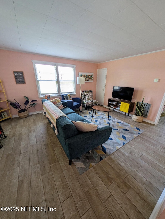 217 Covino Ave, Saint Augustine, FL 32084 - living area featuring wood finished floors