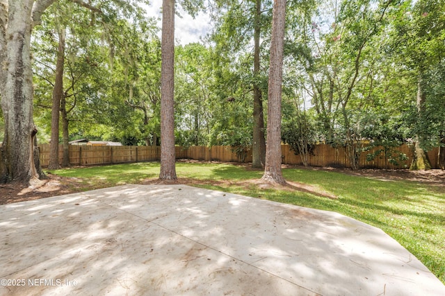 175 Evergreen Ln, Middleburg, FL 32068 - fenced backyard with a patio