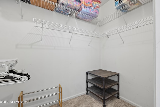 1419 Linkside Dr, Atlantic Beach, FL 32233 - walk in closet featuring carpet floors