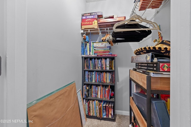1419 Linkside Dr, Atlantic Beach, FL 32233 - walk in closet with carpet floors