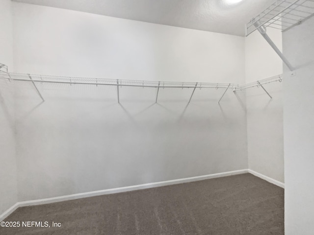 1090 Lauriston Dr, Saint Johns, FL 32259 - spacious closet featuring carpet flooring
