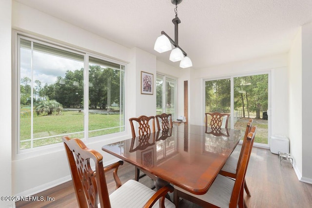 3704 Havenwood Rd, Middleburg, FL 32068 - photo 25