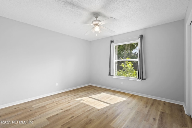 2419 Lime Tree Dr, Edgewater, FL 32141 - photo 10