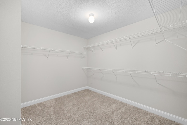 83 Eagles Landing Ln, Saint Augustine, FL 32092 - photo 17