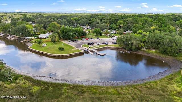 2571 Montreal St, Jacksonville, FL 32233 - bird's eye view of a nearby body of water and a heavily wooded area