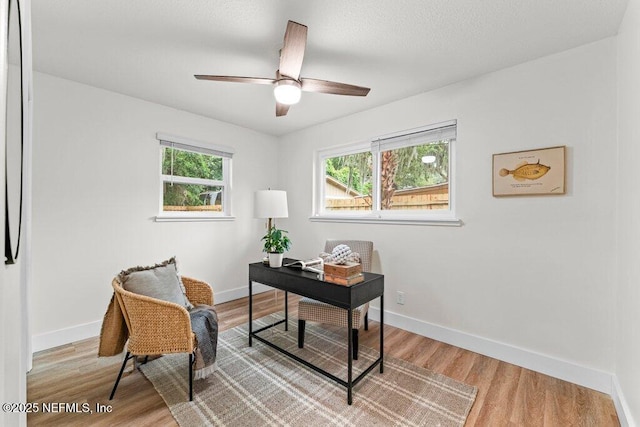 2571 Montreal St, Jacksonville, FL 32233 - home office featuring light wood-style floors and a ceiling fan