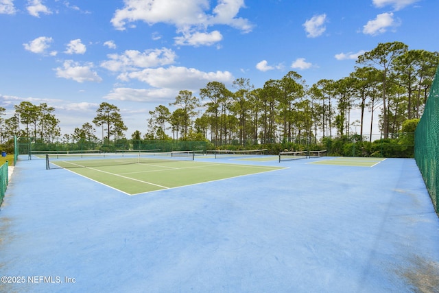 577 Wooded Crossing Cir, Saint Augustine, FL 32084 - photo 53