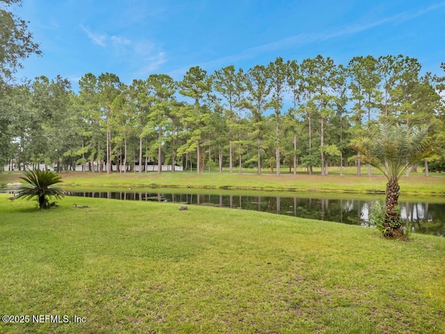 3242 Millpond Ct, Orange Park, FL 32065 - photo 34