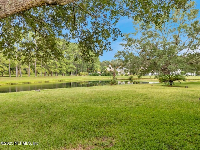3242 Millpond Ct, Orange Park, FL 32065 - photo 35