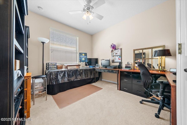 814 Copperhead Cir, Saint Augustine, FL 32092 - office space with carpet and a ceiling fan