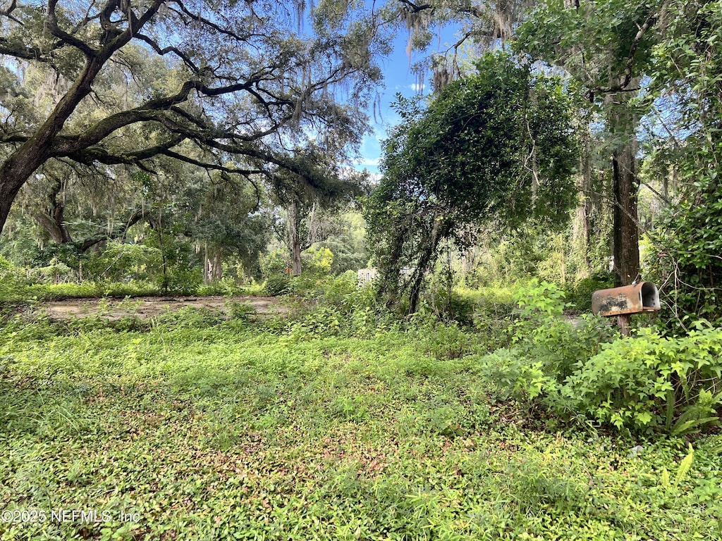 6621 Virginia Beach Ln, Keystone Heights, FL 32656