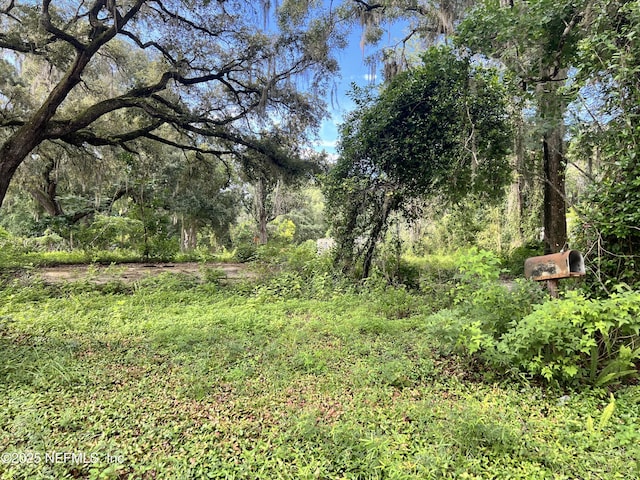 6621 Virginia Beach Ln, Keystone Heights, FL 32656
