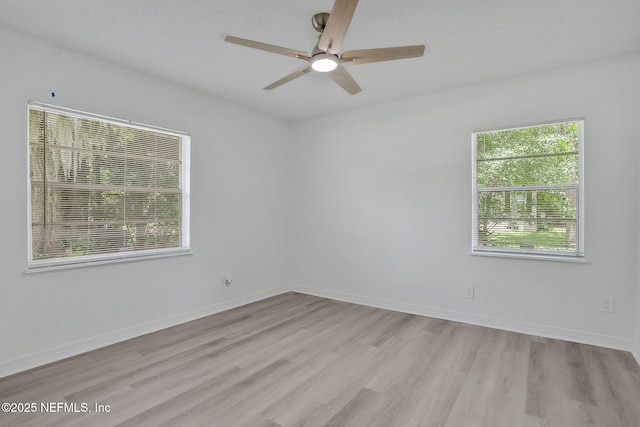 3923 Tyndale Dr, Jacksonville, FL 32210 - photo 17