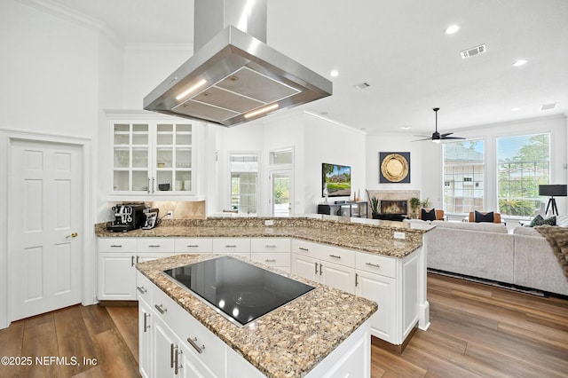 24237 Marsh Landing Pkwy, Ponte Vedra Beach, FL 32082 - kitchen featuring black electric cooktop, island exhaust hood, a glass covered fireplace, ornamental molding, and a ceiling fan