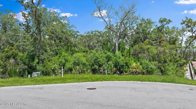 97 San Cristobal Ct, Saint Augustine, FL 32095 - photo 16