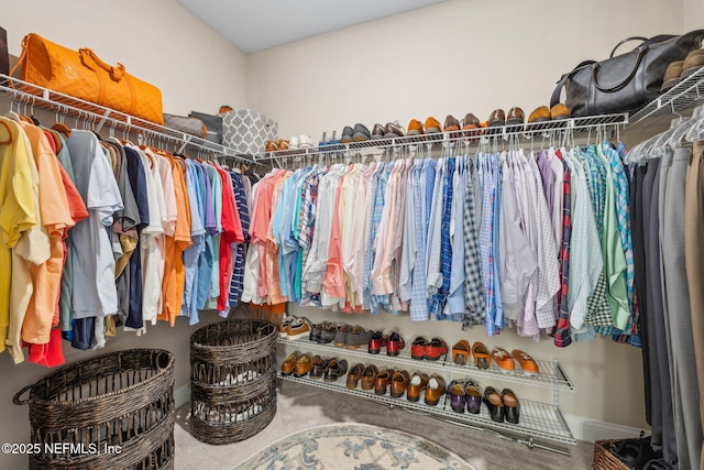 3146 Villa Vera Ct, Jacksonville, FL 32246 - spacious closet with carpet flooring