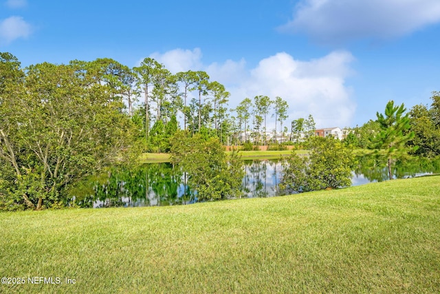 3146 Villa Vera Ct, Jacksonville, FL 32246 - water view