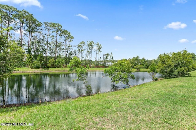 3146 Villa Vera Ct, Jacksonville, FL 32246 - water view