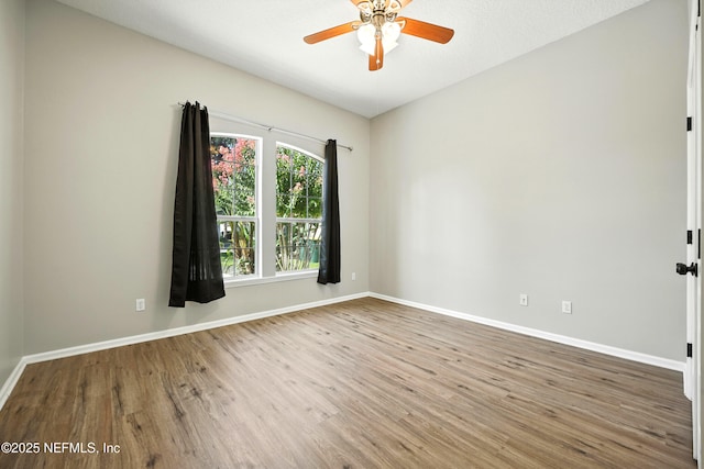13882 White Heron Pl, Jacksonville, FL 32224 - photo 31