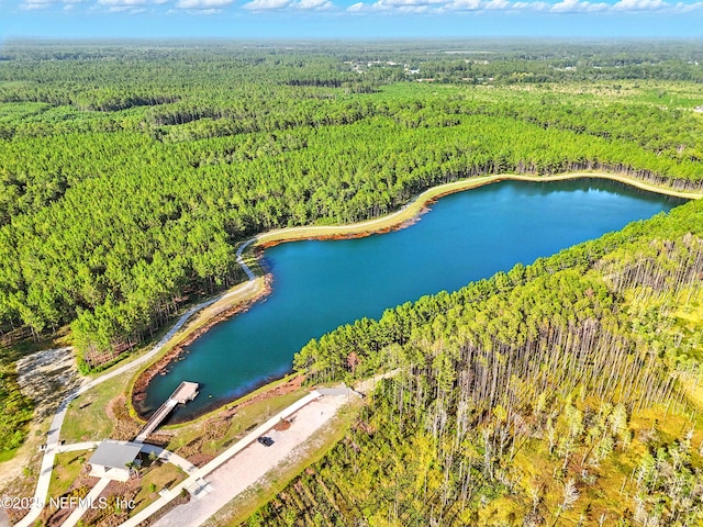 238 Ponder Cir, Yulee, FL 32097 - photo 57