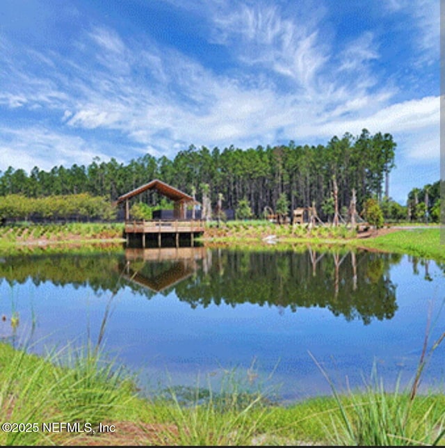 238 Ponder Cir, Yulee, FL 32097 - photo 60