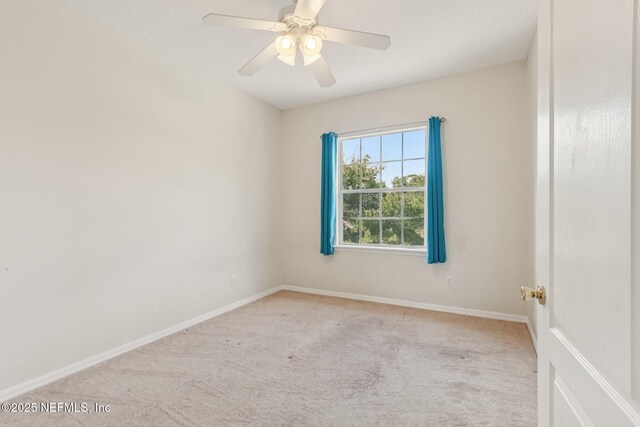 631 Wakeview Dr, Orange Park, FL 32065 - photo 19