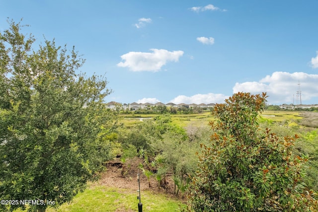 148 Ancient Island Dr, Saint Augustine, FL 32080 - view of nature