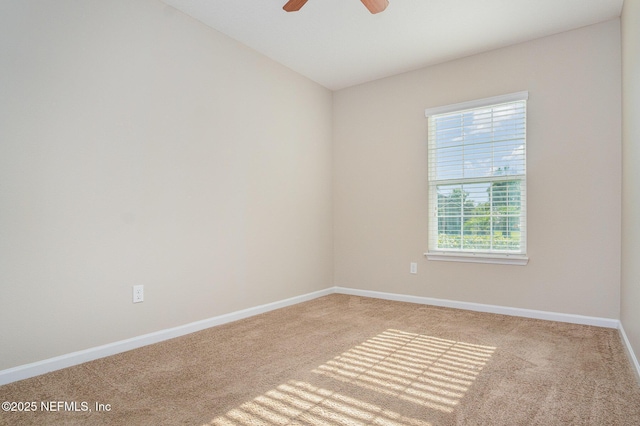 282 Parkwood Cir, Saint Augustine, FL 32086 - photo 11