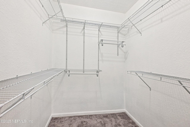 8539 Gate Pkwy W Unit 9232, Jacksonville, FL 32216 - photo 24