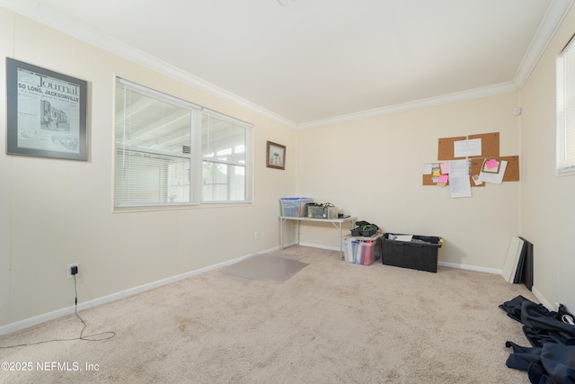 4728 Andromeda Rd, Jacksonville, FL 32210 - photo 11
