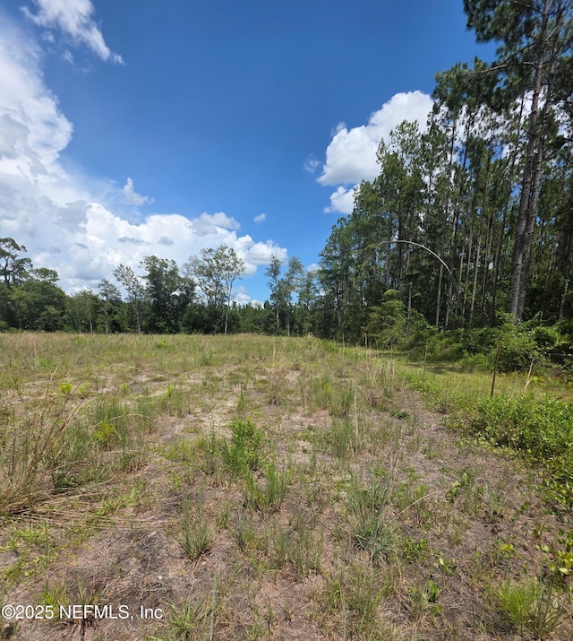 LOT64 County Road 108th Rd, Hilliard, FL 32046 - photo 1