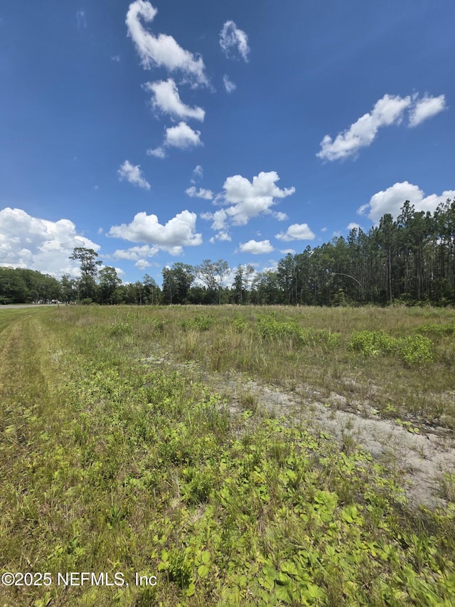 LOT64 County Road 108th Rd, Hilliard, FL 32046 - photo 10